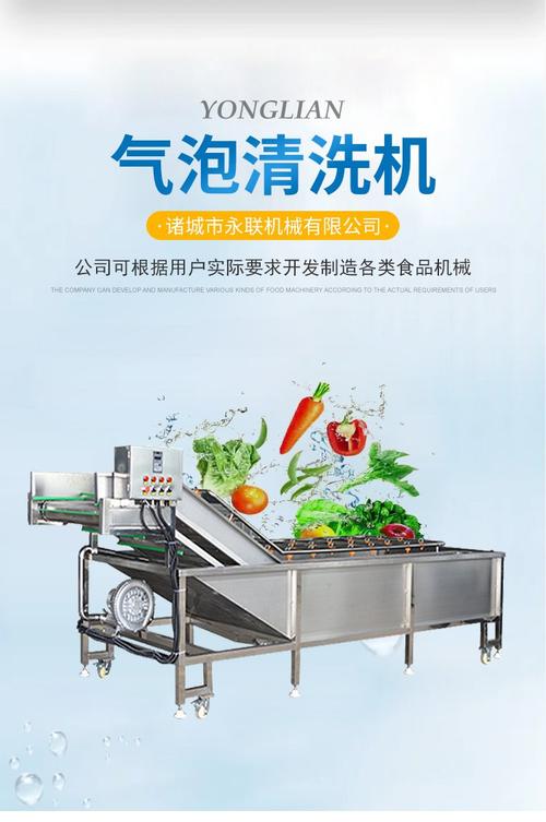 气泡清洗机 秋葵蔬菜鼓泡清洗机器 大枣苹果草莓喷淋式清洗设备